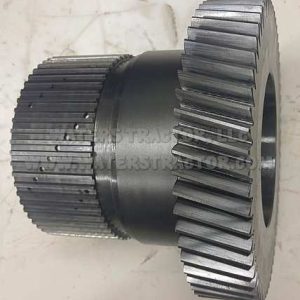 Pinion