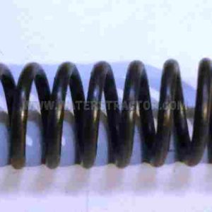 Lock Spring