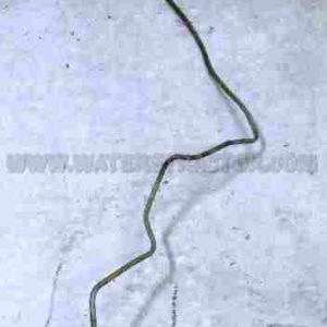 Brake Line, Left