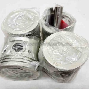 Piston Set - .75MM (.030")