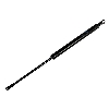 Gas Strut