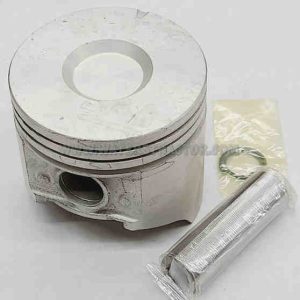 Piston and Pin - .020"
