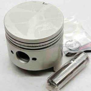 Piston and Pin - .75MM (.030")