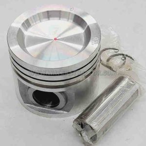 Piston and Pin - .75MM (.030")