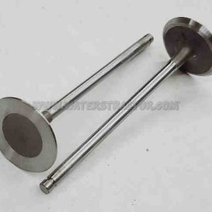 Valve, Intake - 2 pk