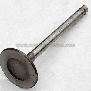 Valve, Intake - 2 pk