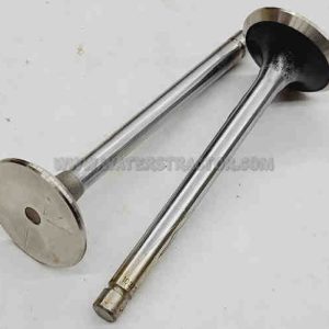 Valve, Exhaust - 2 pk