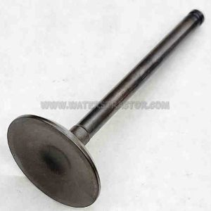 Valve, Intake