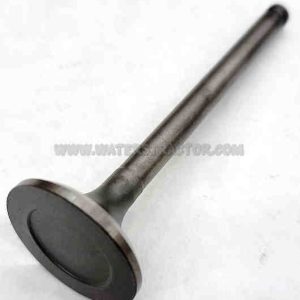 Valve, Exhaust
