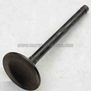 Valve, Intake