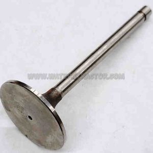 Valve, Intake