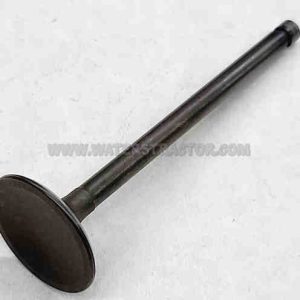 Valve, Intake