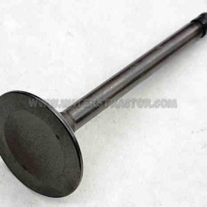 Valve, Intake