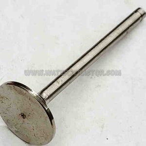 Valve, Exhaust