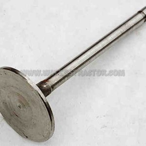 Valve, Intake