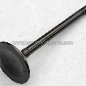 Valve, Intake