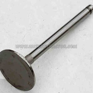 Valve, Intake