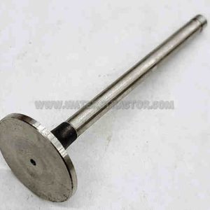 Valve, Exhaust