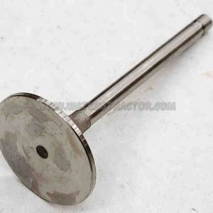 Valve, Intake