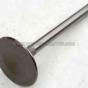 Valve, Intake