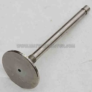Valve, Intake