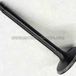 Valve, Intake