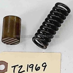 Friction Plug and Spring