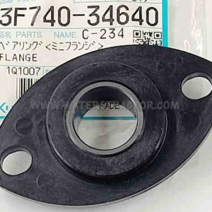 Flange, Bearing