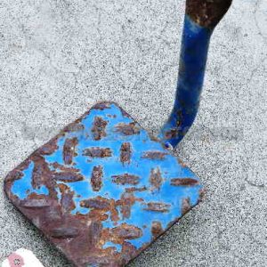 Step, Running Board