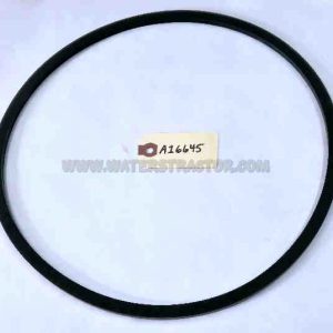 Sealing Ring